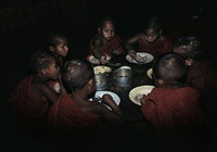 © Daniel M. Allred All Rights Reserved