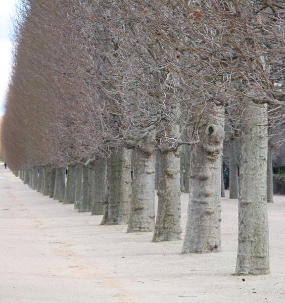 Jardin des Planes, Paris
