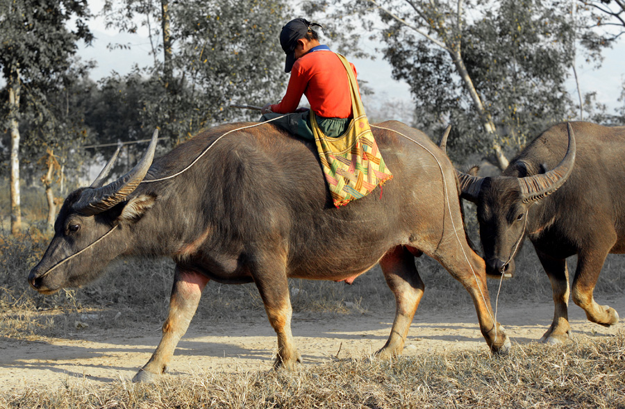 Near Inle Lake