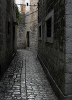 © Daniel M. Allred All Rights Reserved