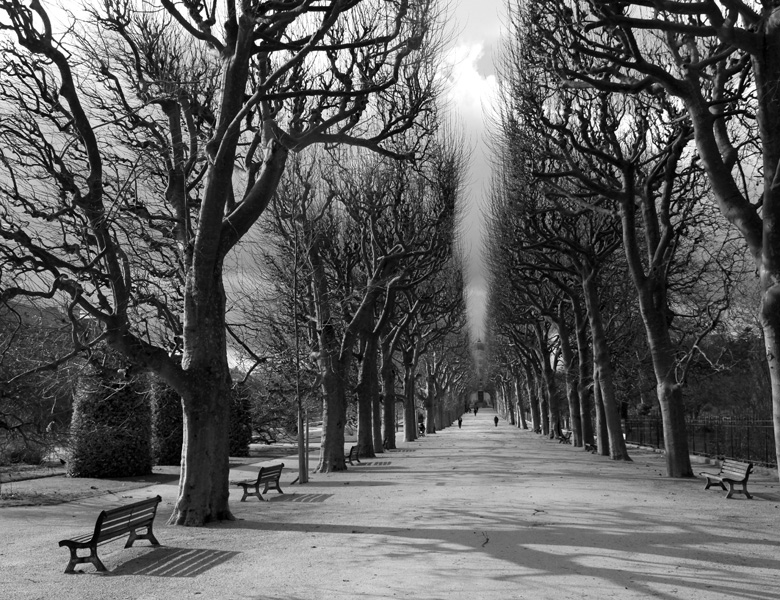 Jardin des Plantes, Paris