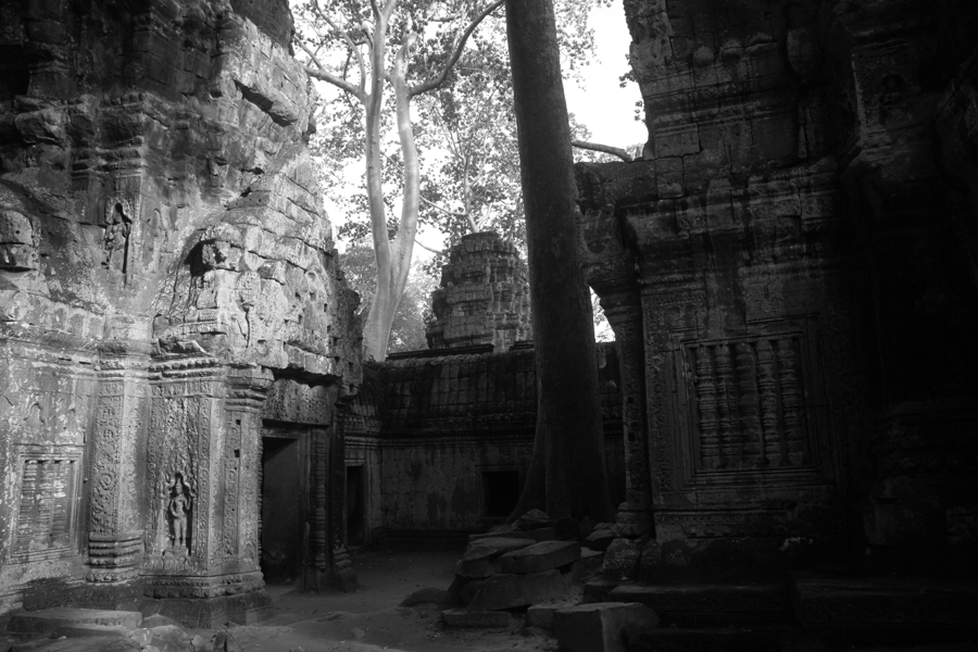 Ta Prohm - Angkor - Cambodia