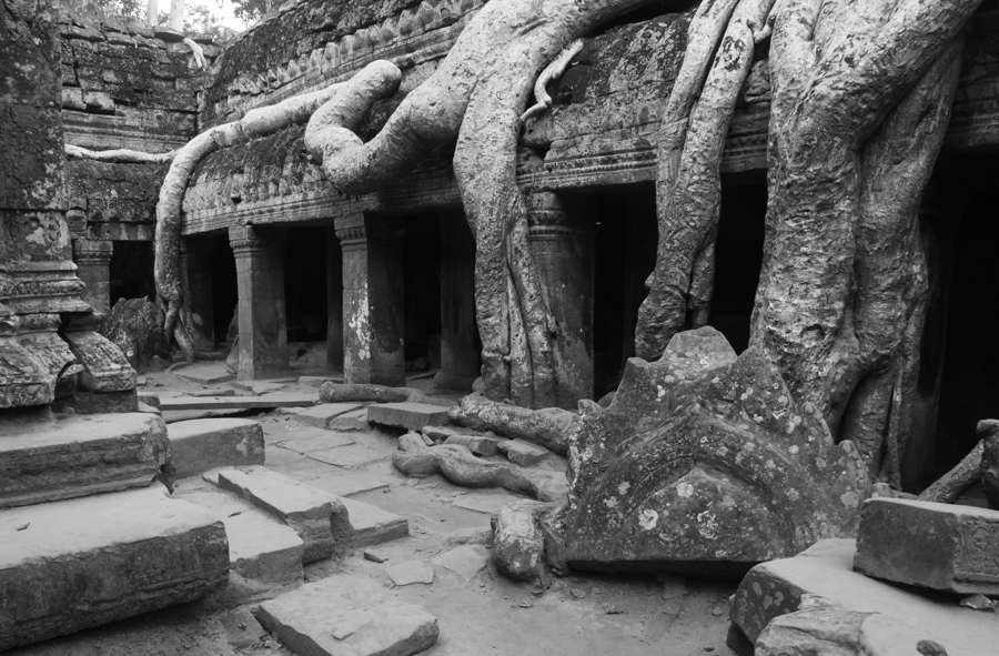 Ta Prohm - Angkor - Cambodia