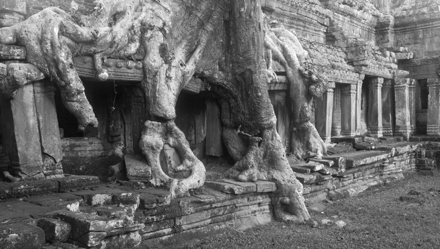 Preah Khan - Angkor - Cambodia
