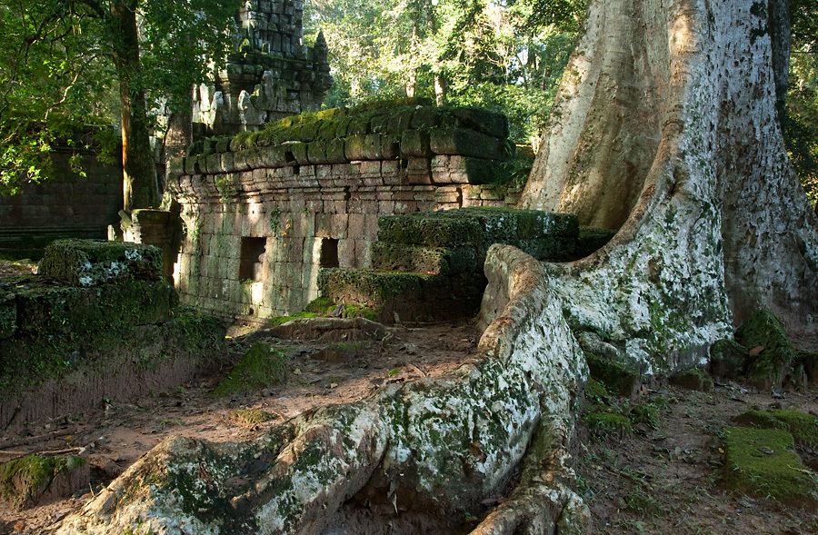 Royal Palace - Angkor Thom - Cambodia