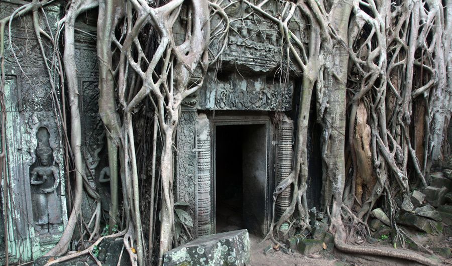 Ta Prohm - Angkor - Cambodia