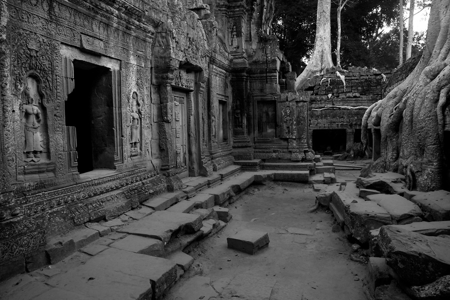 Ta Phrom - Angkor - Cambodia