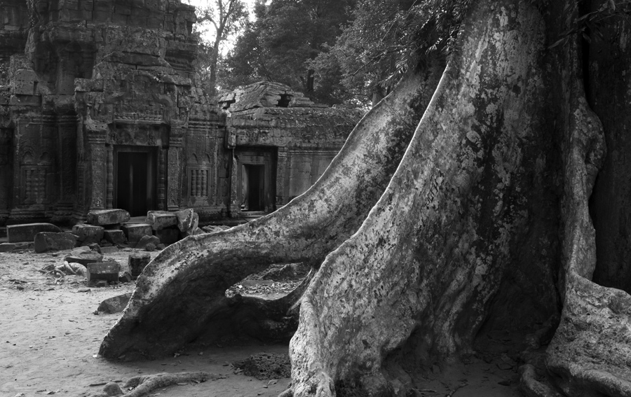 Ta Prohm - Angkor - Cambodia