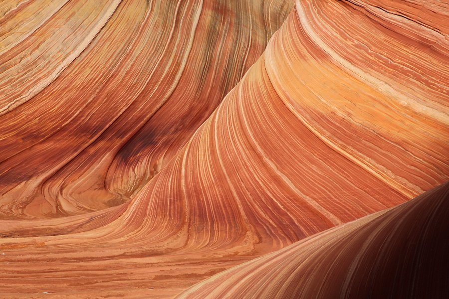 The Wave - Arizona