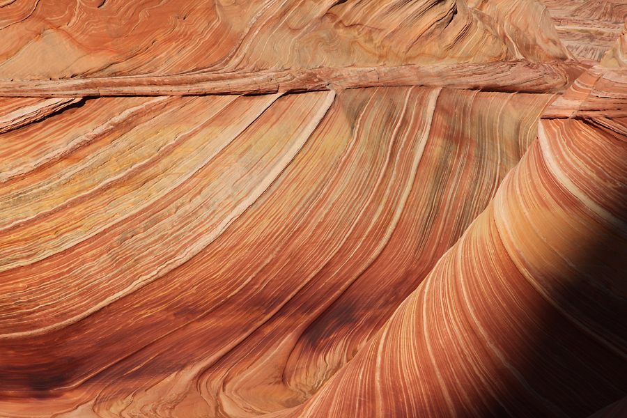 The Wave - Arizona